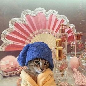 Meet your Posher, Mariela